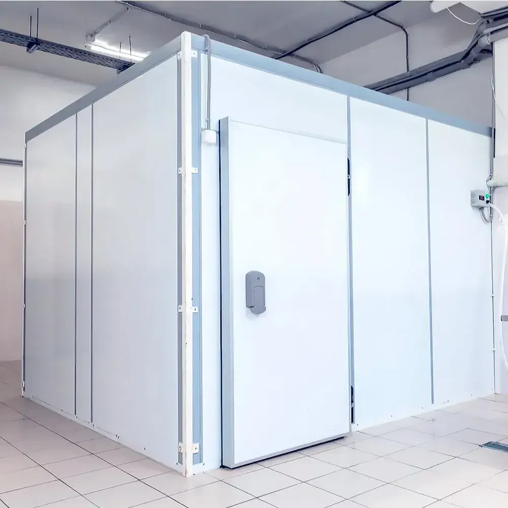 instalacao-de-camaras-friaswp